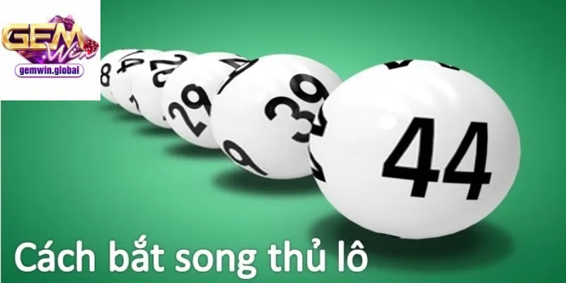 Giải thích ý nghĩa của thuật ngữ song thủ lô là gì?